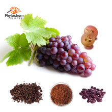 natural antioxidant foods skin whitening weight loss health benefits of grape seed extract 95% OPC